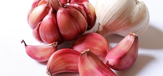Is garlic healthy