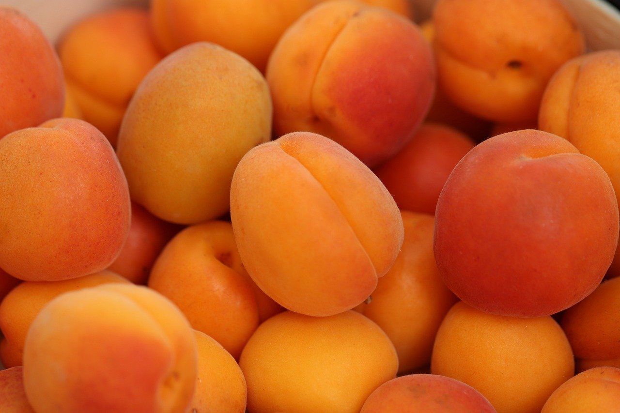 Are apricots healthy