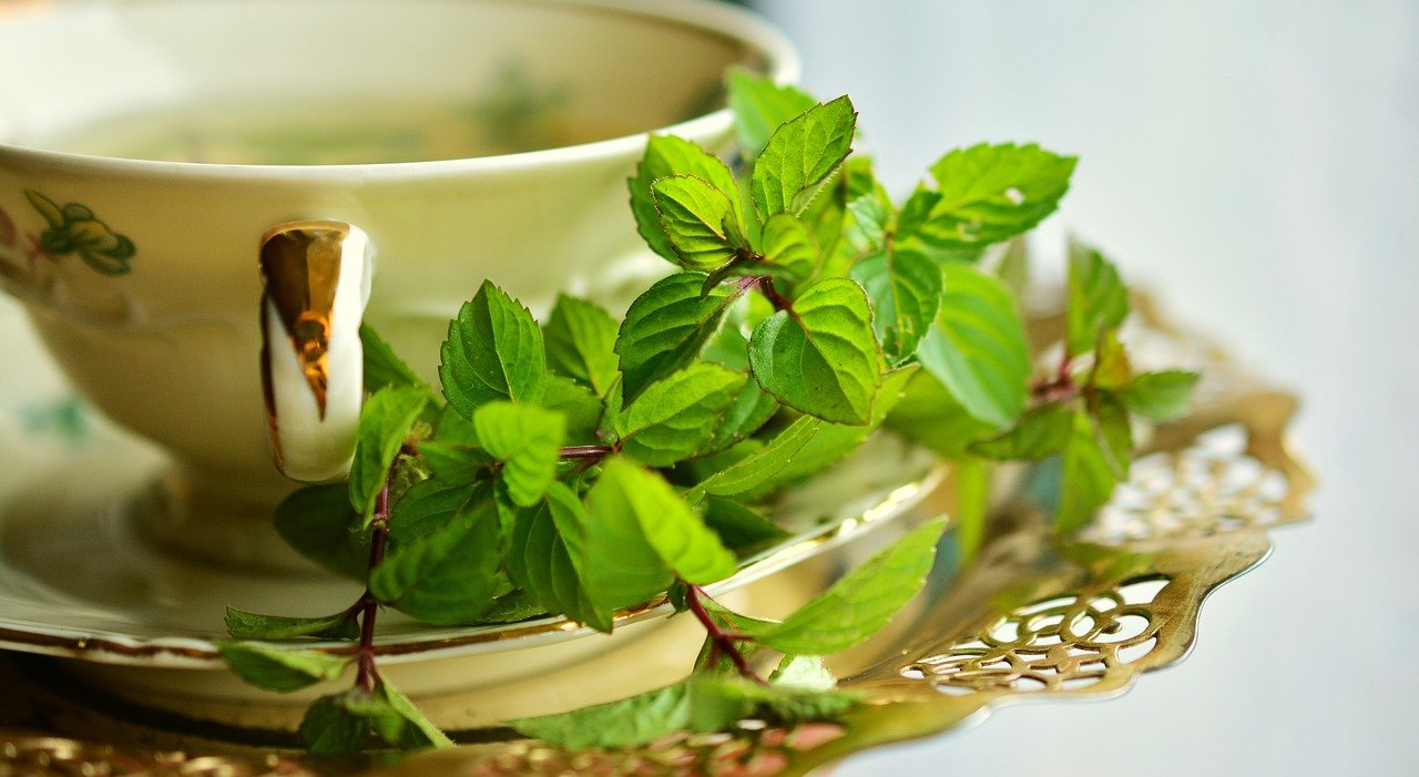 Benefit of mint tea