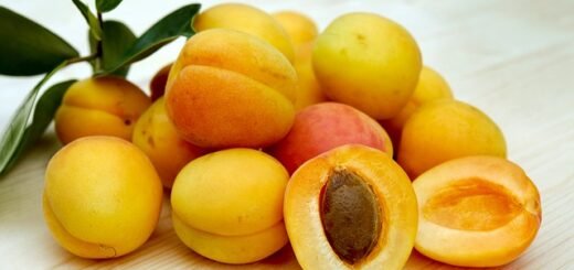 How to store apricots