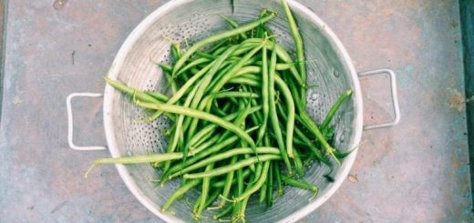 Green Beans Recipe
