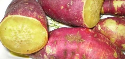 Tips for boiling delicious sweet potatoes