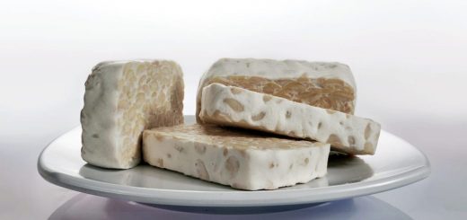 What Is Tempeh