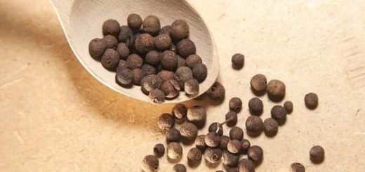 What is Allspice