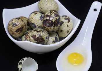 How to store quail eggs