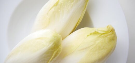 How to store chicory