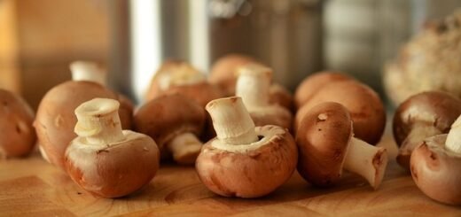 can you freeze mushrooms