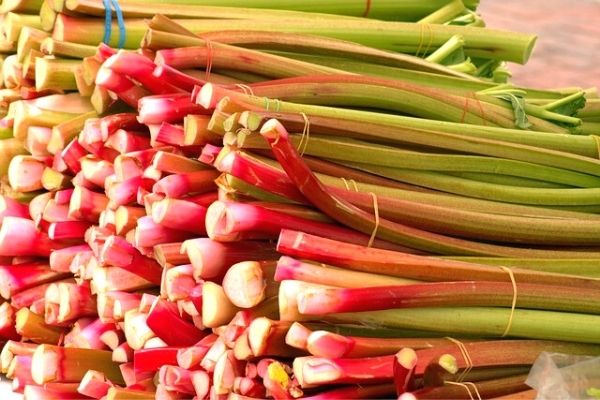 Nutritional properties of rhubarb in food