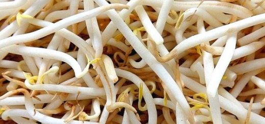 6 Little-Known Benefits of Soybean Sprouts