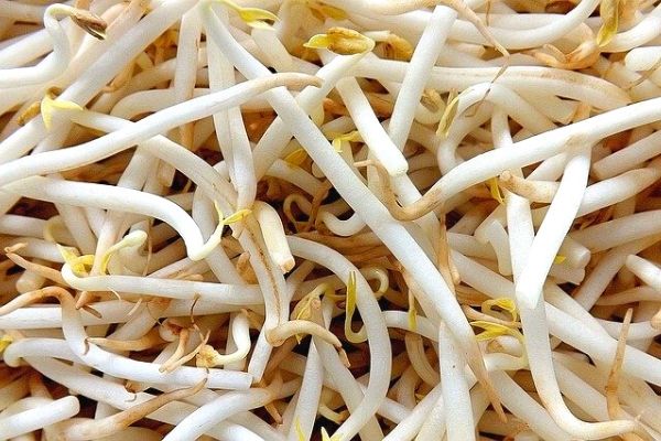 6 Little-Known Benefits of Soybean Sprouts