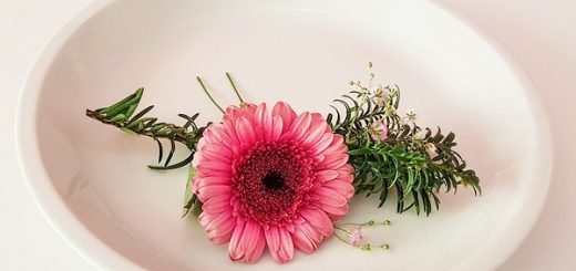 Elegant Presentations with 9 Edible Flower Types