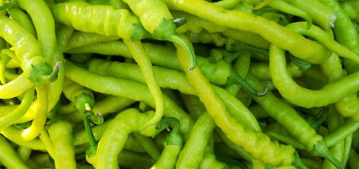 9 Important Benefits of Eating Pointed Peppers
