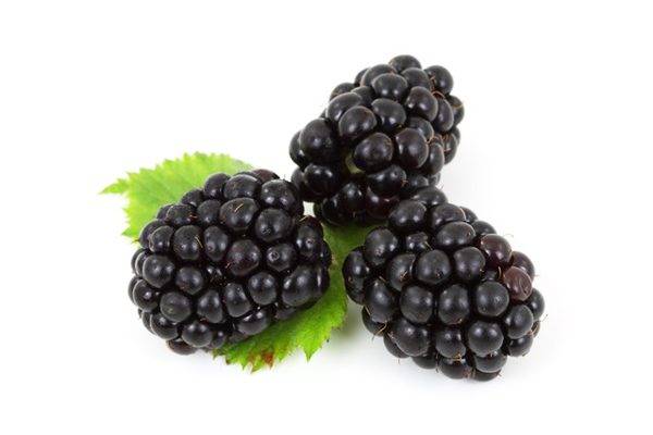 Blackberry Calories