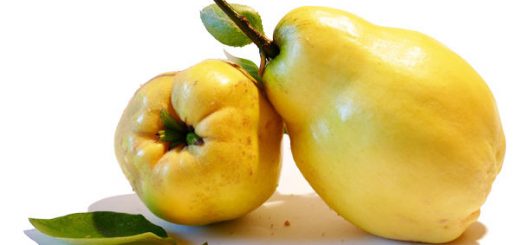 Quince Nutritional Value
