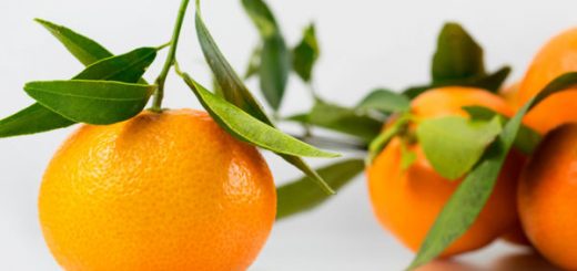Nutritional Value of Tangerines