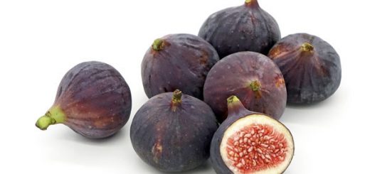 Calories in Figs