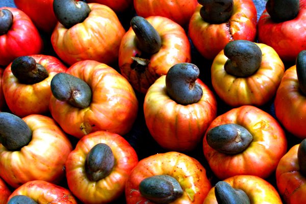Cashew fruit