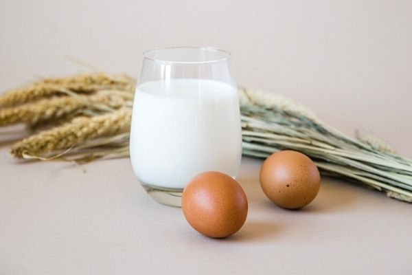 Protein Milk Calories