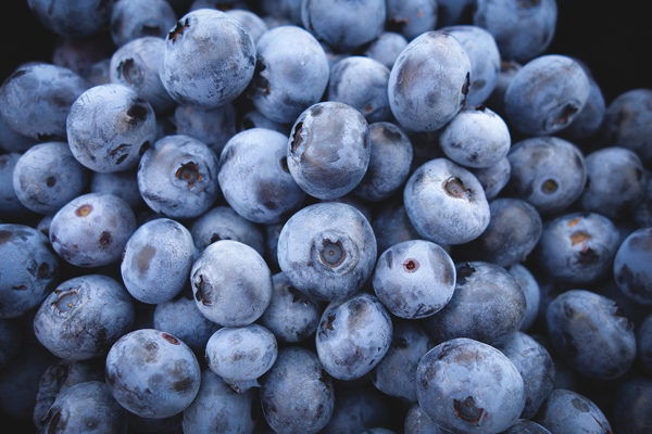 Harvest blessing in blueberries