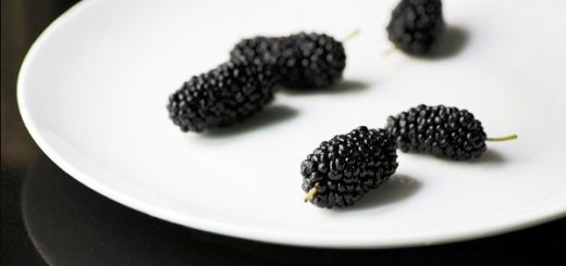 Benefits of Black Mulberry