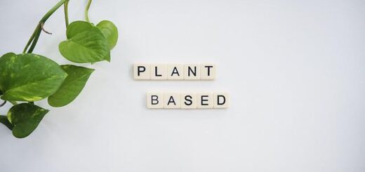 plant-based diet