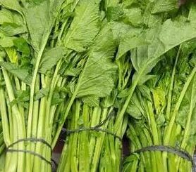 What to do with radish grass, what is it good for