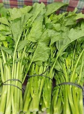 What to do with radish grass, what is it good for
