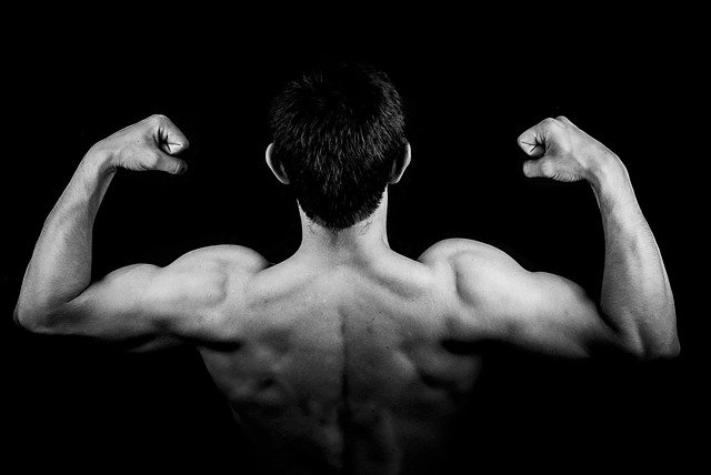 How to boost your muscle mass