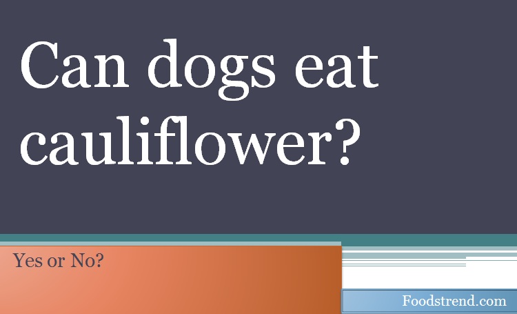 Can dogs eat cauliflower