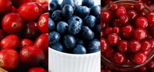 Differences between blueberries, cranberries and cranberries