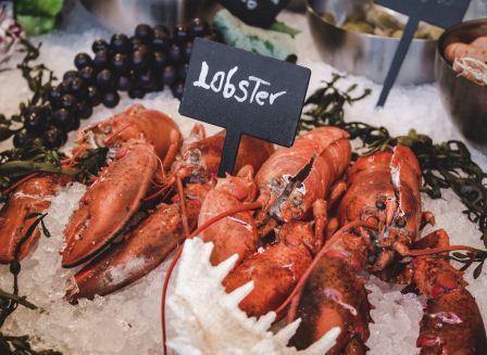 Best Ways To Eat a Lobster