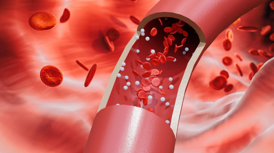 Five foods that purify the blood