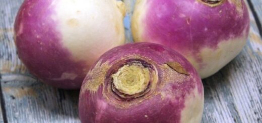 Can you freeze turnips