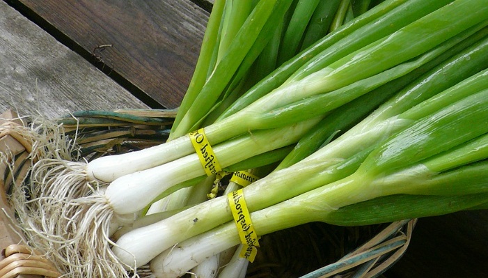How to freeze Green Onions
