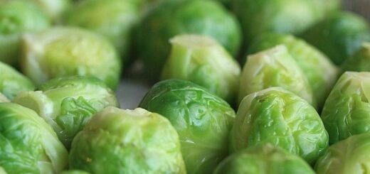 Can you freeze Brussels sprouts
