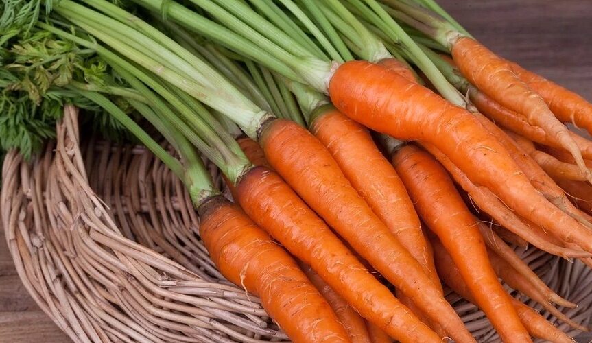 How to store carrots