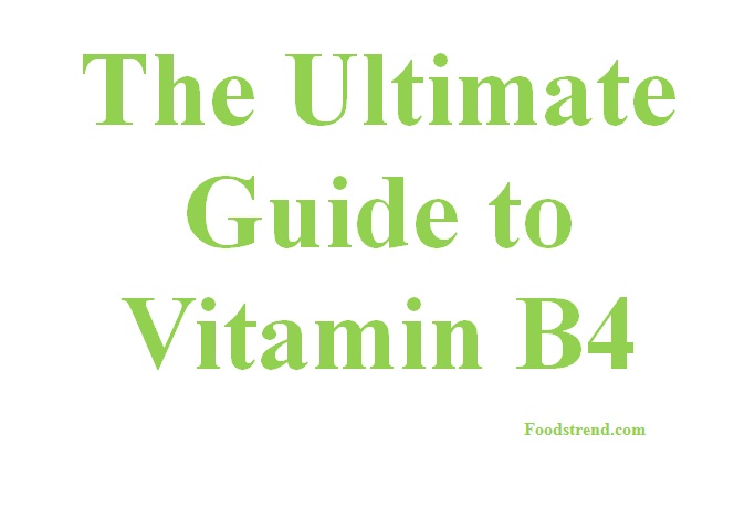 Vitamin B4