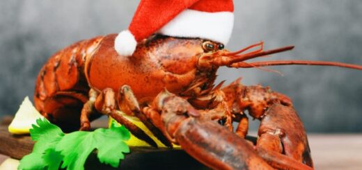 Best Seafood for Christmas