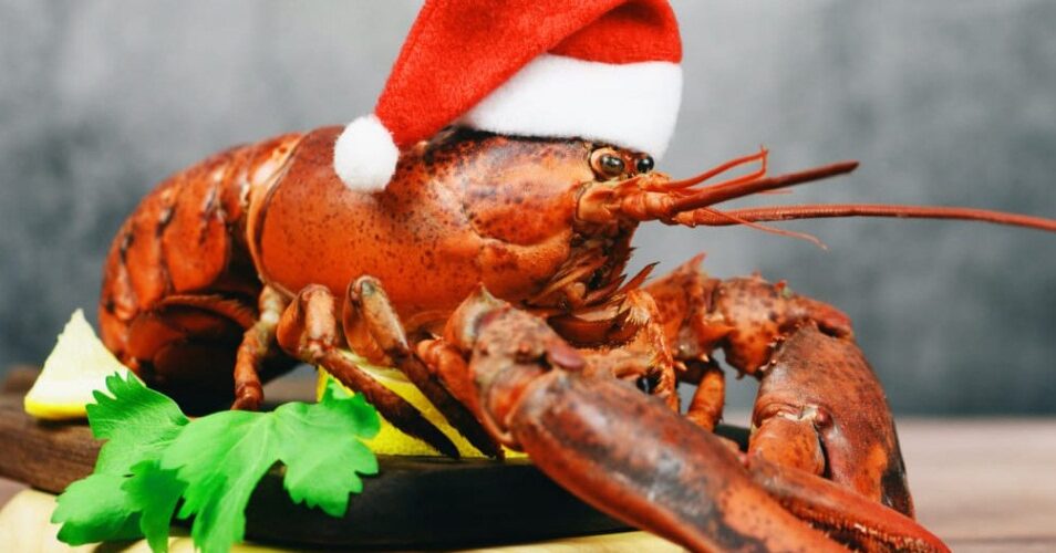 Best Seafood for Christmas