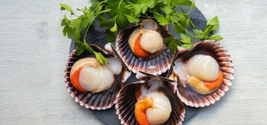 How to freeze fresh, cooked scallops