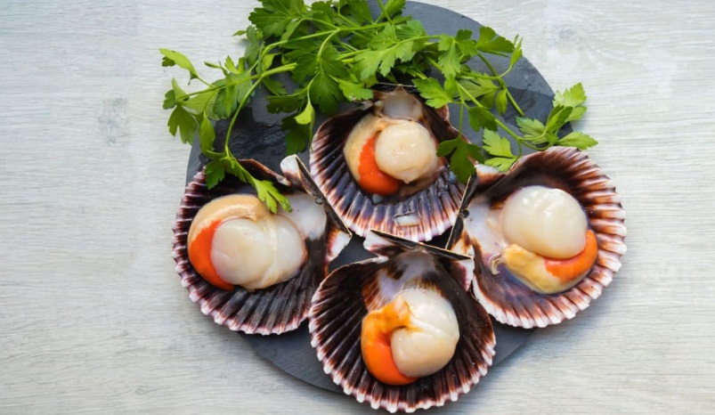 How to freeze fresh, cooked scallops