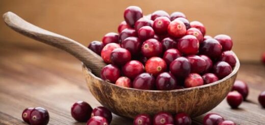 Are cranberries healthy