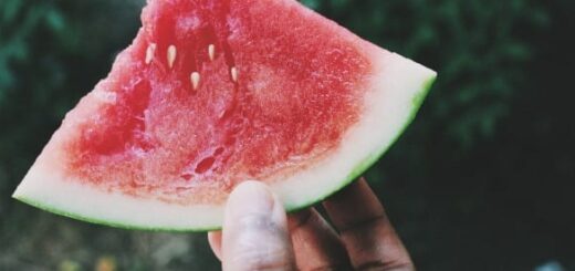 Is Watermelon Healthy