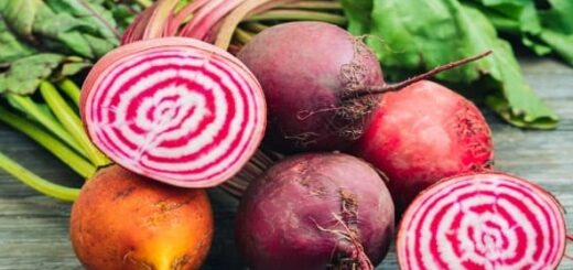 Are beetroot healthy