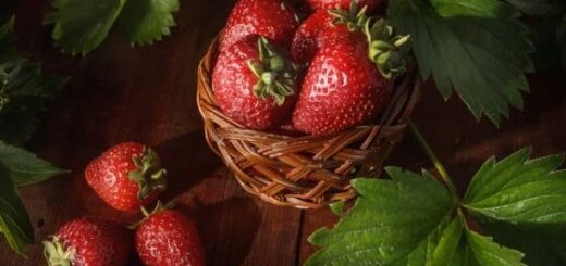 Are strawberries healthy