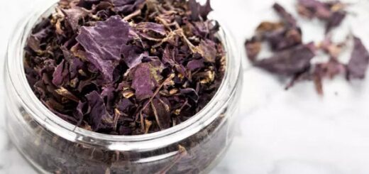 Purple Basil Tea