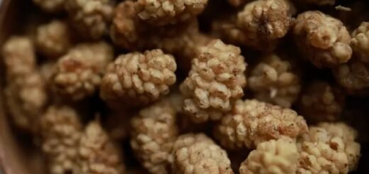 How to consume dried mulberries