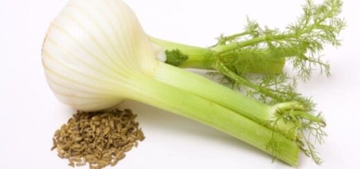 Benefits of Fennel for the Chest