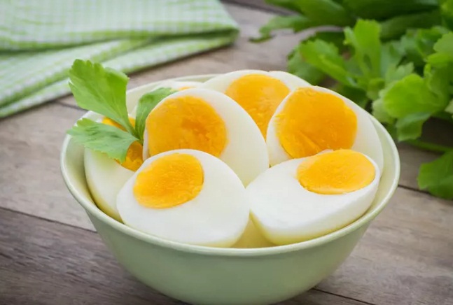 Can you lose weight with the egg diet
