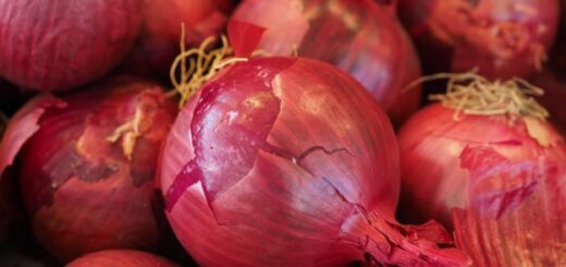 Red Onion Calories